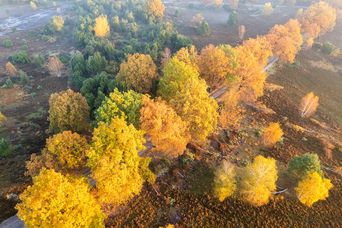 foliage-germania-Wildecker Teiche Herbst © Lüneburger HeideEgestorf Sudermuehler Heide-28