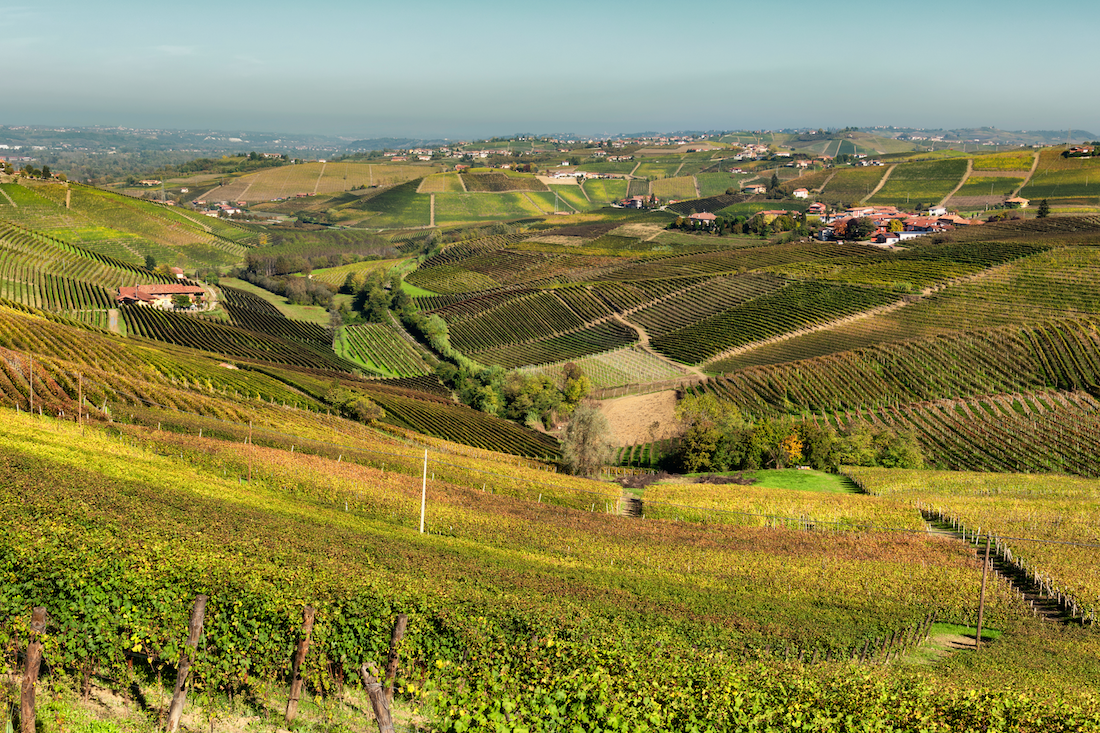 barbaresco-borgo-piemonte-colline