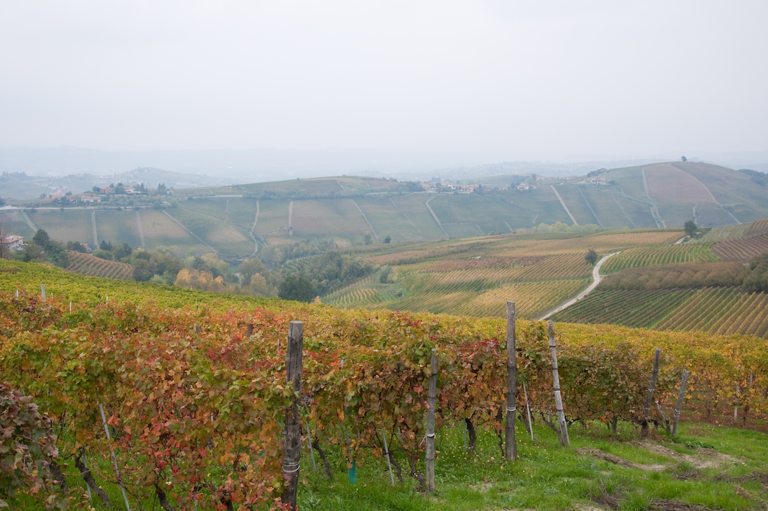 barbaresco-borgo-piemonte