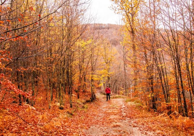 Alta Val Taro e Val Ceno - Autunno nei boschi