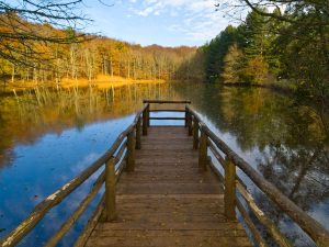 Foresta Umbra in autunno