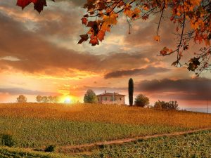 Migliori regioni vinicole in Europa 2027
