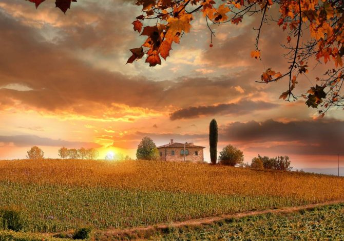 Migliori regioni vinicole in Europa 2027