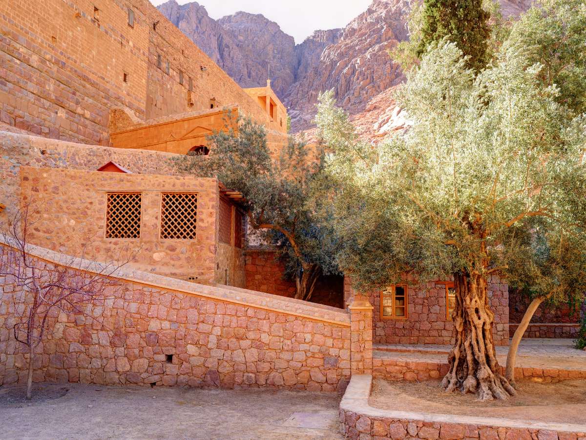 Monastero Greco-Ortodosso del Monte Sinai, Egitto