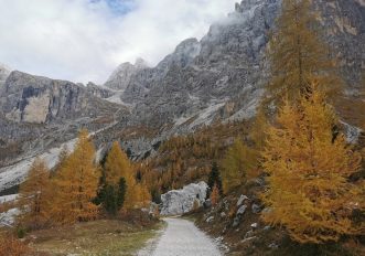 Pian dei Casoni - Val Venegia 2 copia