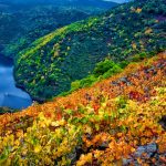 Ribeira Sacra