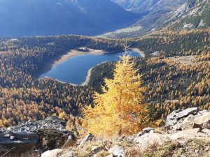 laghi-valtellina-autunno