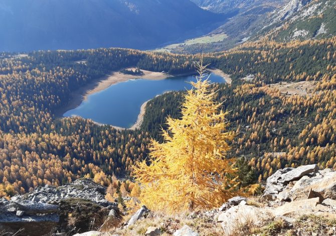 laghi-valtellina-autunno