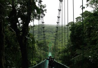 Questa foresta vive dentro una nuvola: Monteverde in Costarica