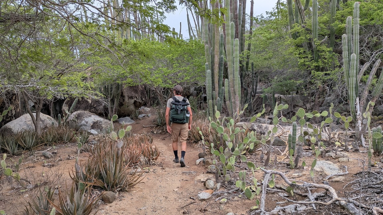 aruba-arikok