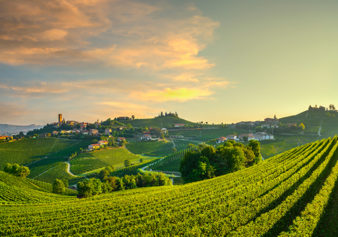 barbaresco-borgo