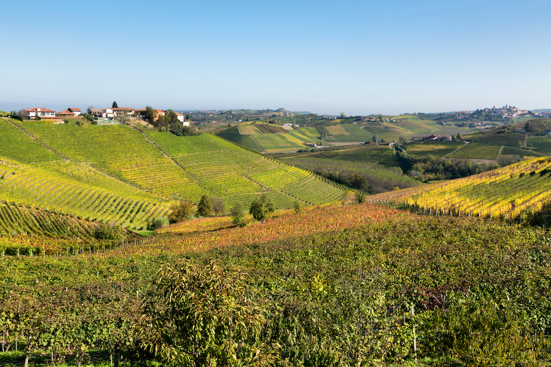 barbaresco