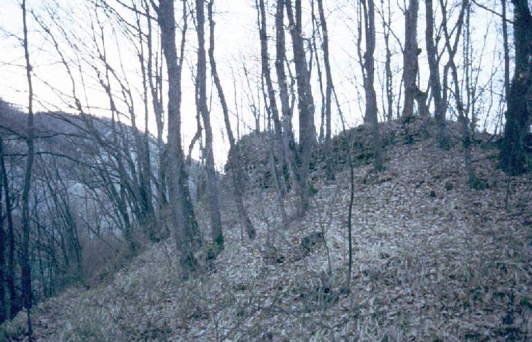 castello-nivione