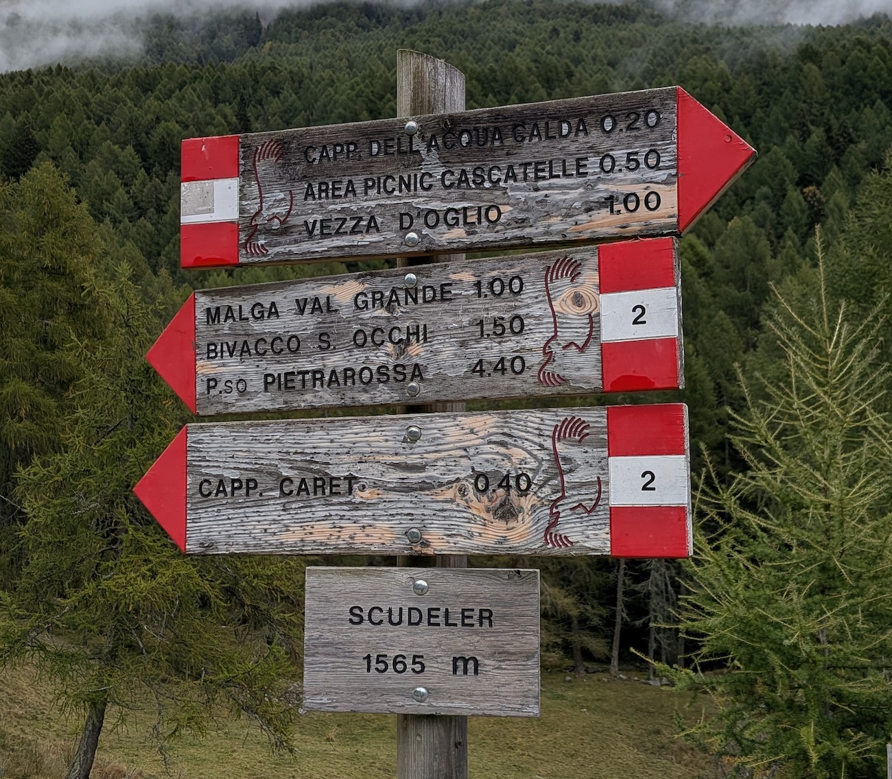 escursione-val-grande-lombardia-bramito-cervo