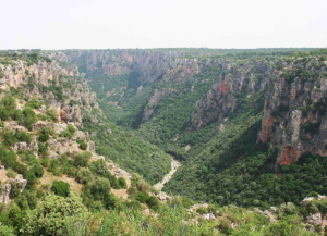 gravina-laterza-puglia
