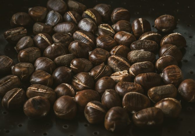 Le castagne più buone in Emilia-Romagna: le gite nei boschi dove raccoglierle questo autunno