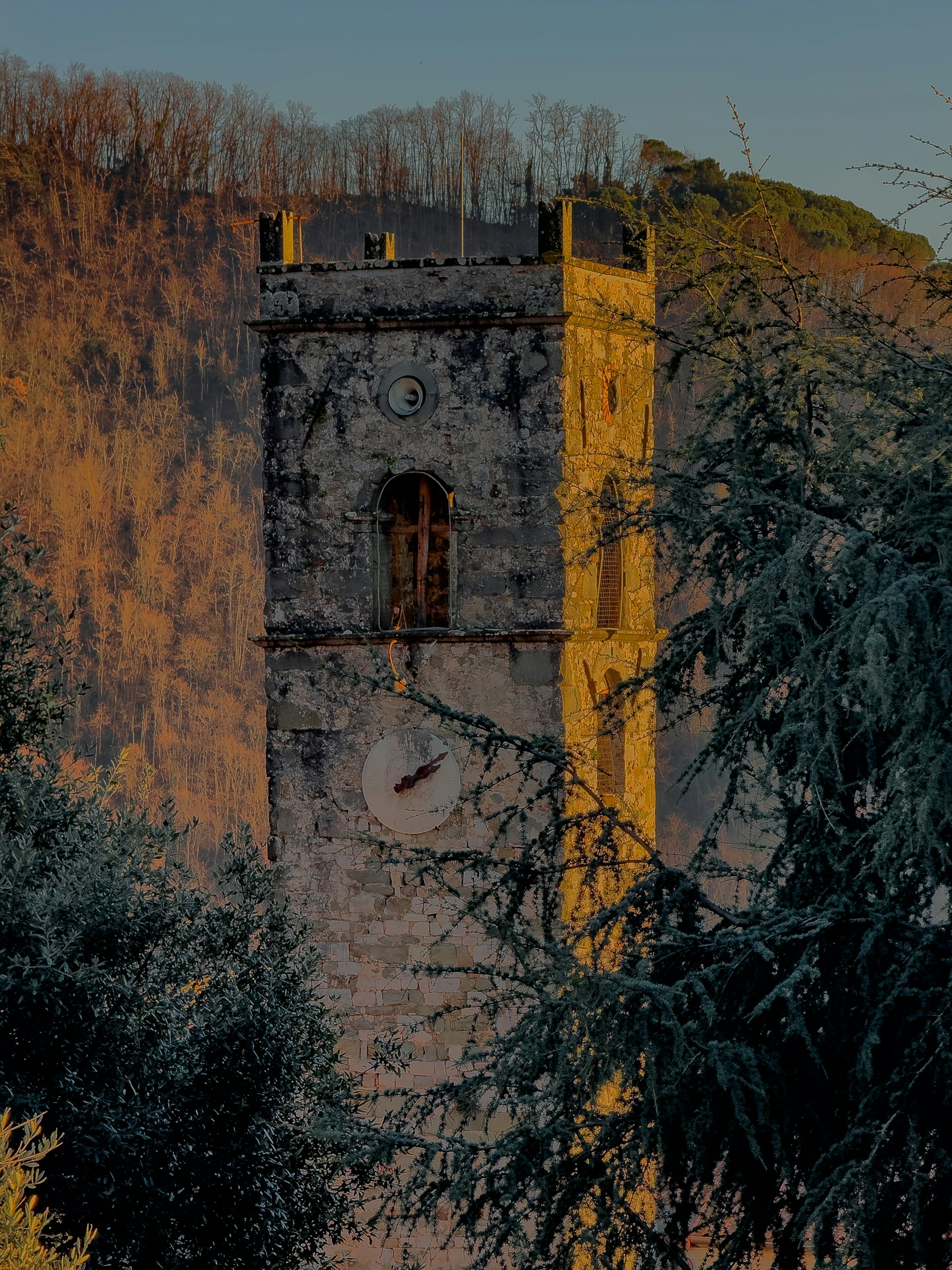foliage in Toscana