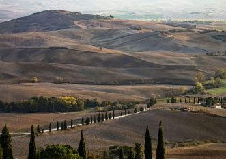 foliage in Toscana