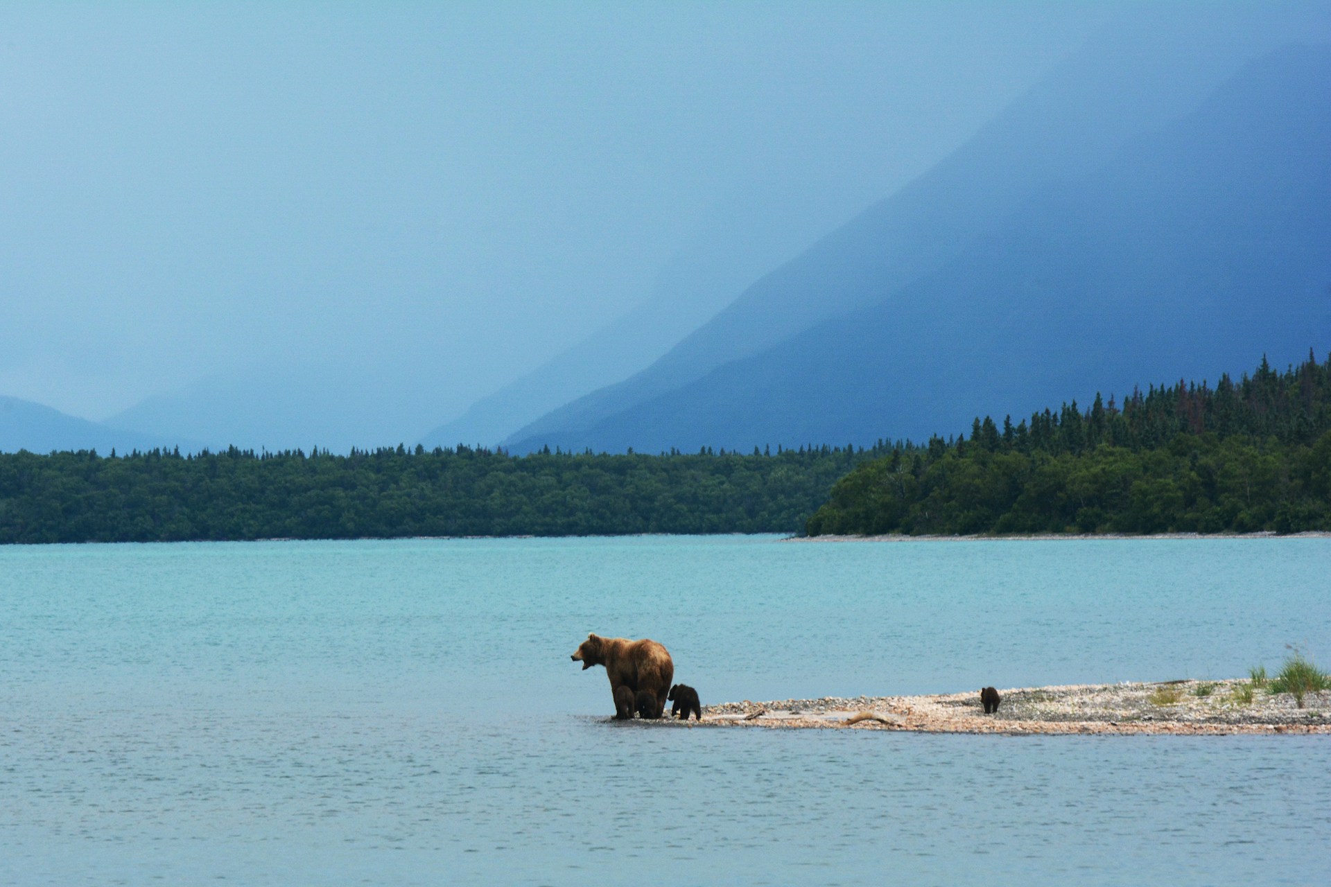Alaska in volo, l'ultima frontiera vista da un piccolo aereo