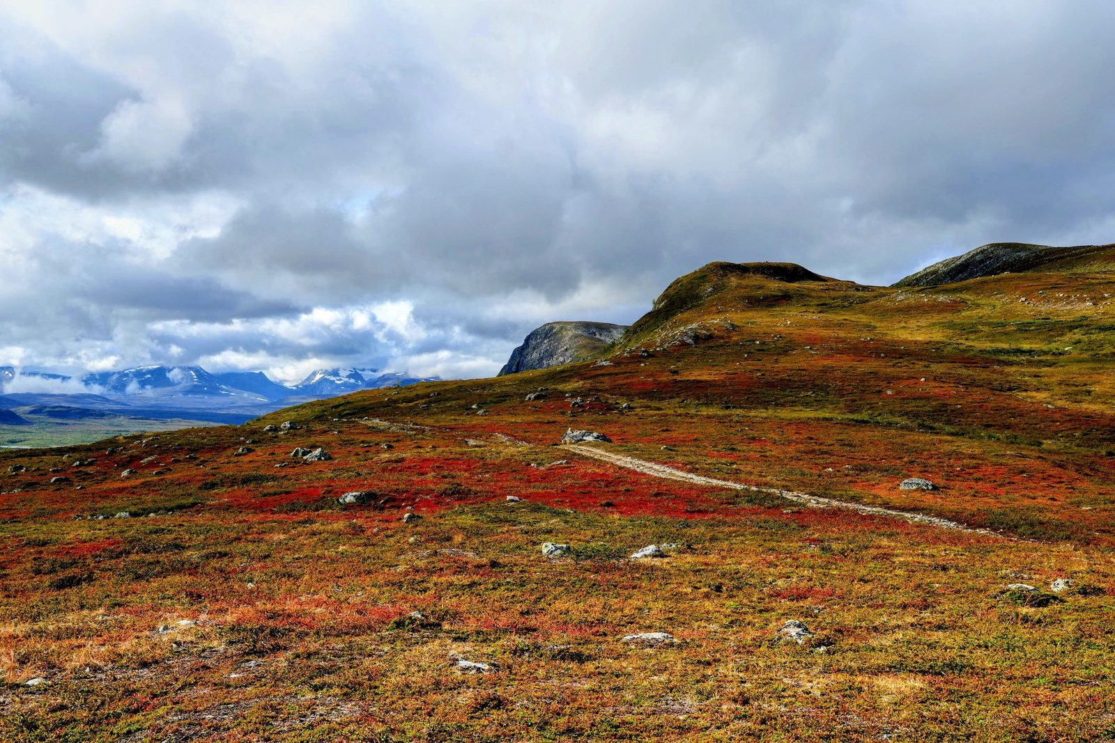 Panorama di tundra lappone con lago e vegetazione autunnale rossa e arancione