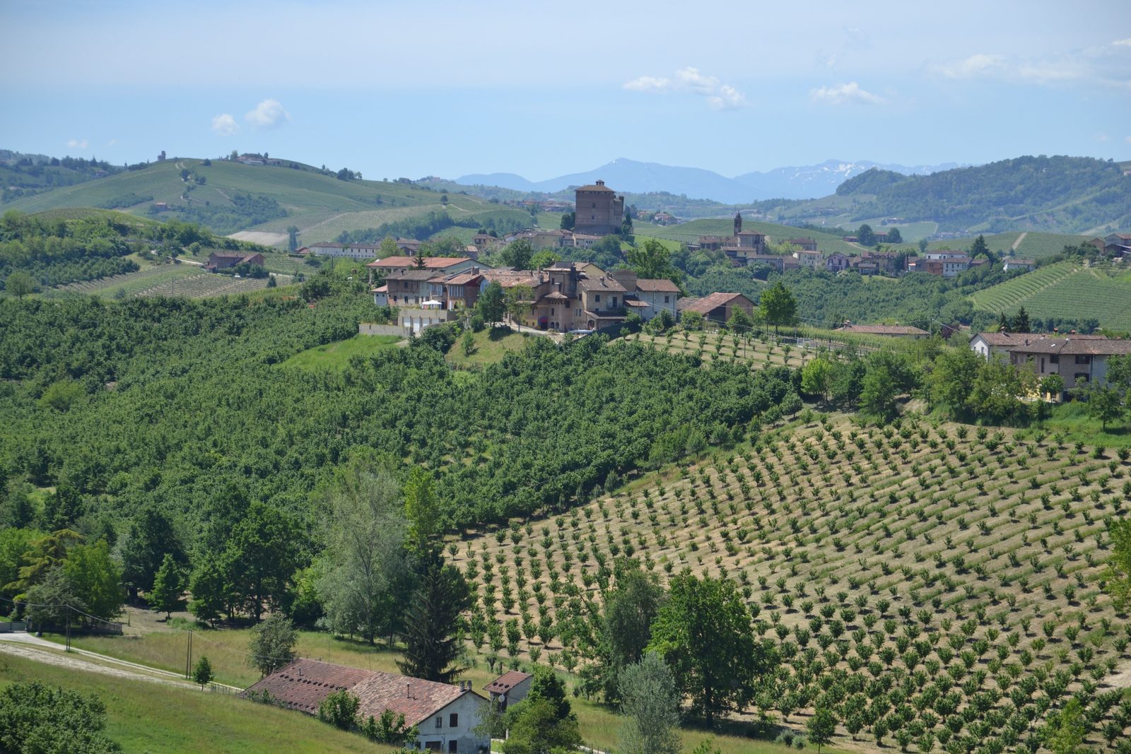 Persona che dipinge su tela usando vino rosso come pigmento in una cantina delle Langhe Persona che dipinge su tela usando vino rosso come pigmento in una cantina delle Langhe