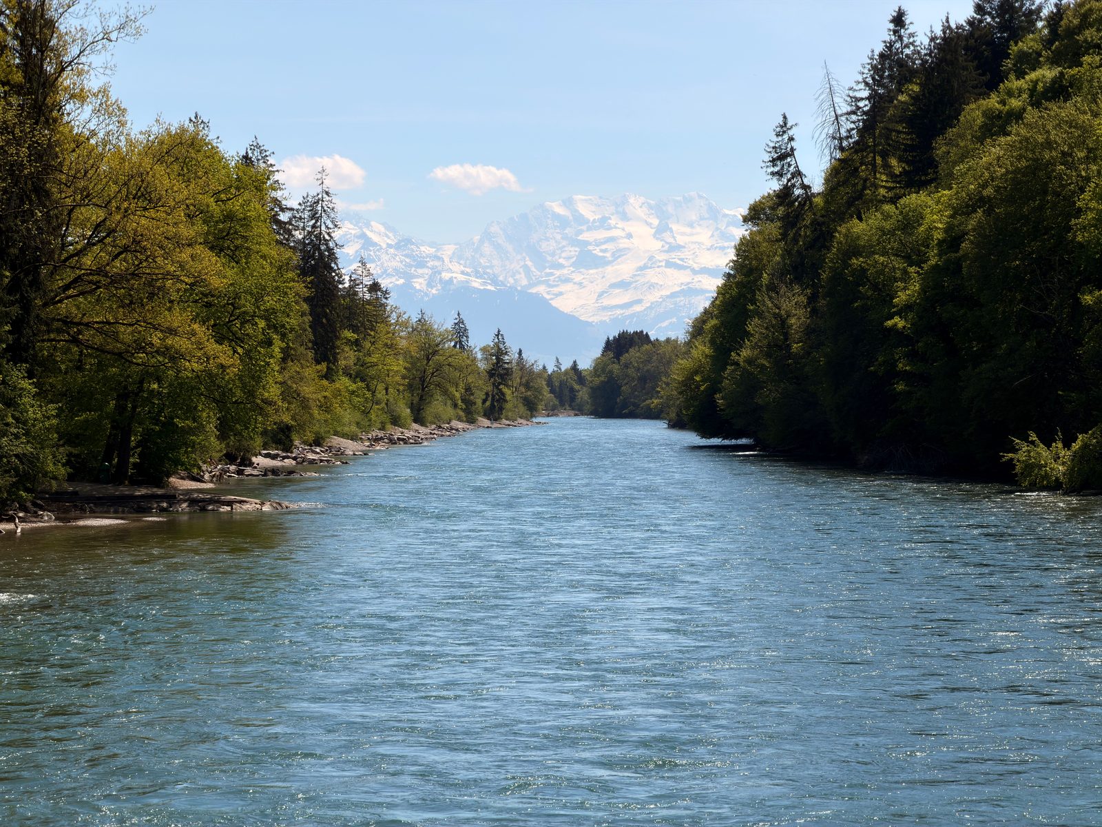 Il fiume Aar in Svizzera con le montagne alpine sullo sfondo in estate Il fiume Aar in Svizzera con le montagne alpine sullo sfondo in estate