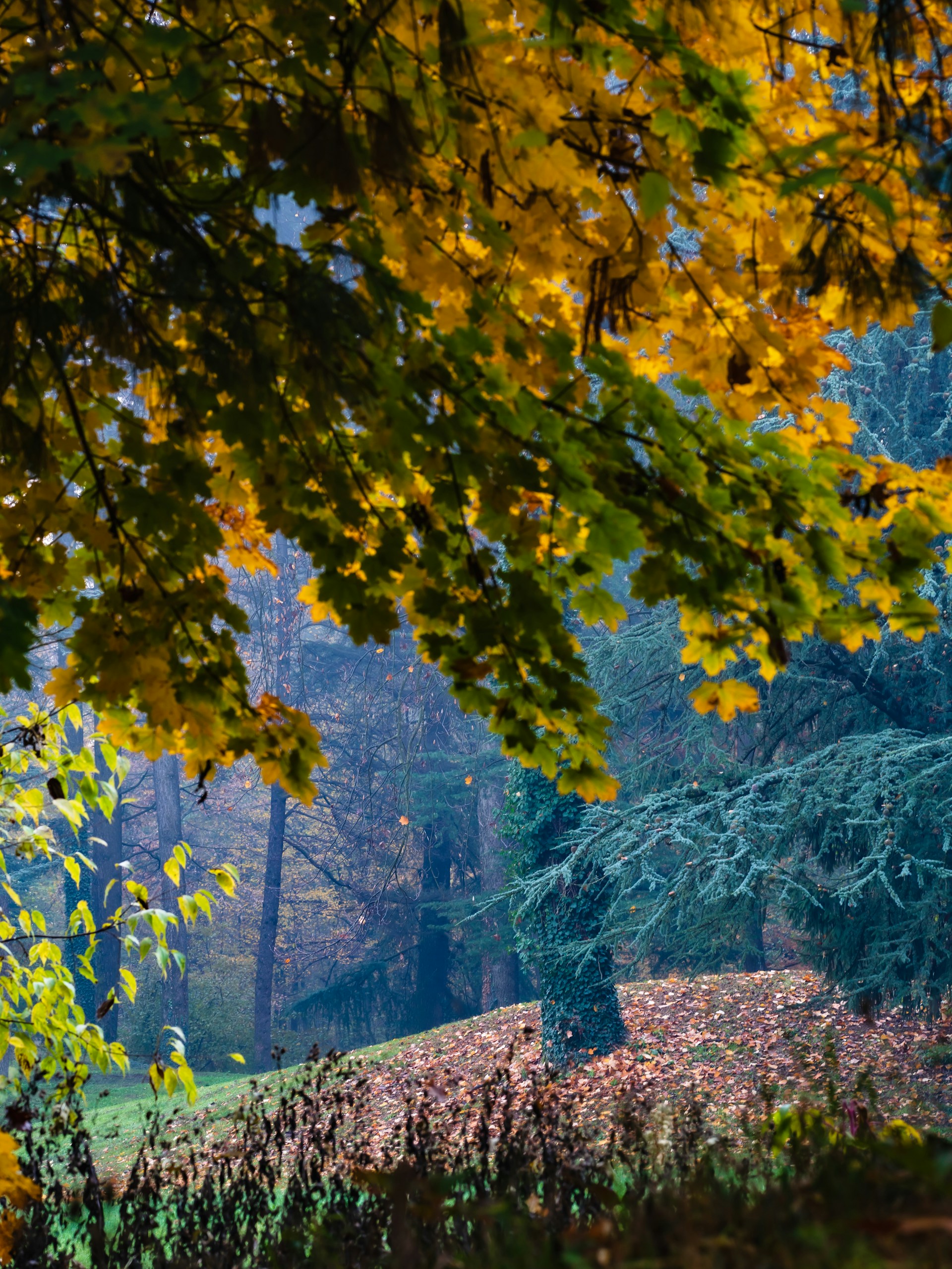 5 gite in Lombardia a vivere la magia del foliage prima che arrivi l’inverno