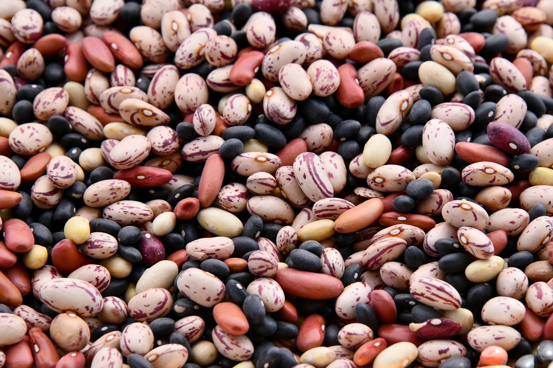 Gli alimenti che abbassano i trigliceridi: cosa mangiare e cosa eliminare