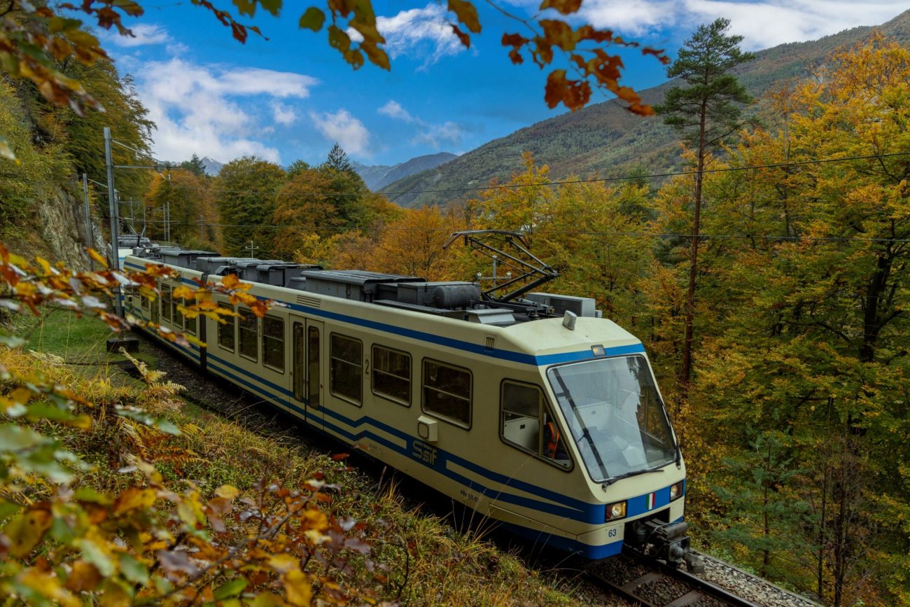 treno-foliage