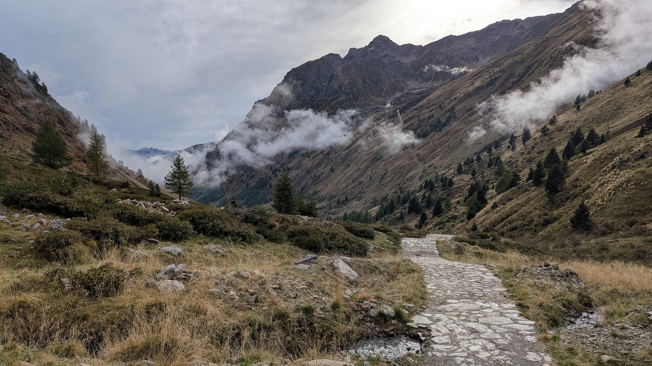 val-grande-lombardia-bramito-cervo